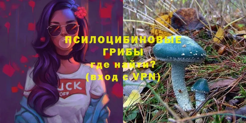 Галлюциногенные грибы прущие грибы  blacksprut вход  Бугульма 